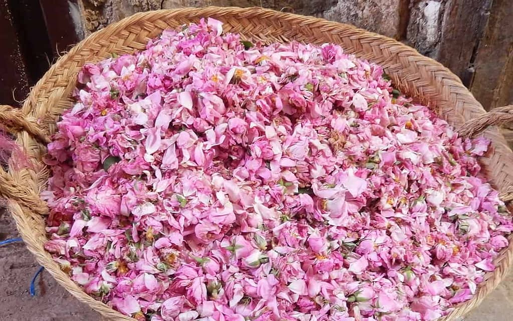 Home-Slide-basket-of-rose-petals.jpg