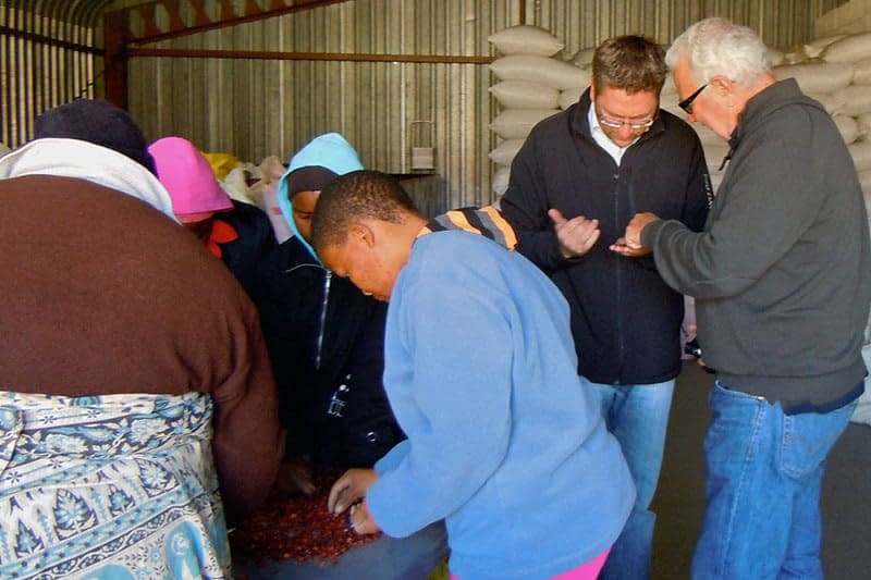 inspecting-rosehips_2.jpg