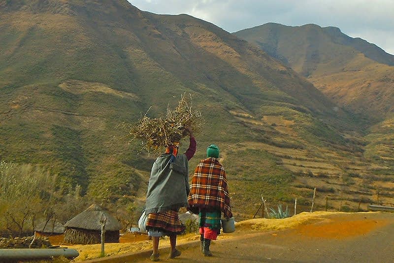 rosehip-lesotho_2.jpg